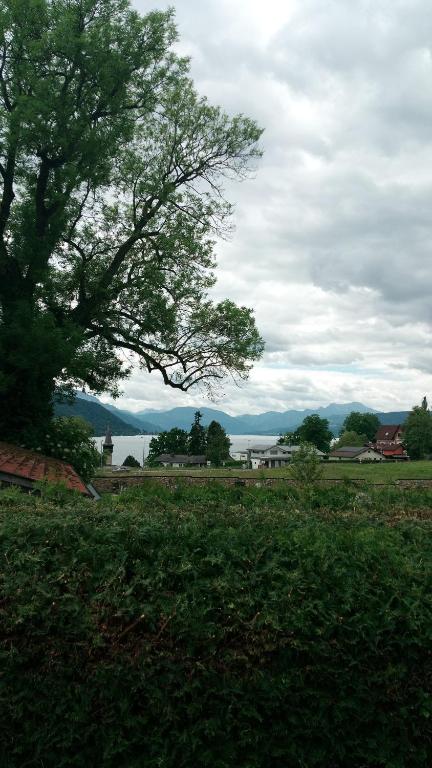 Steinzeit Suite, Größing