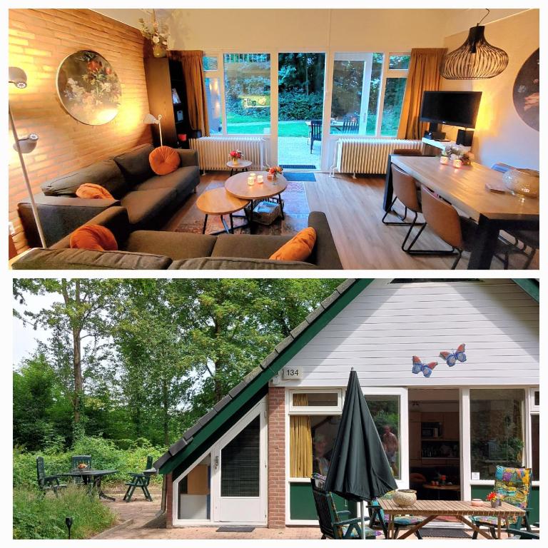 Butterflies, bungalow 134, Simpelveld