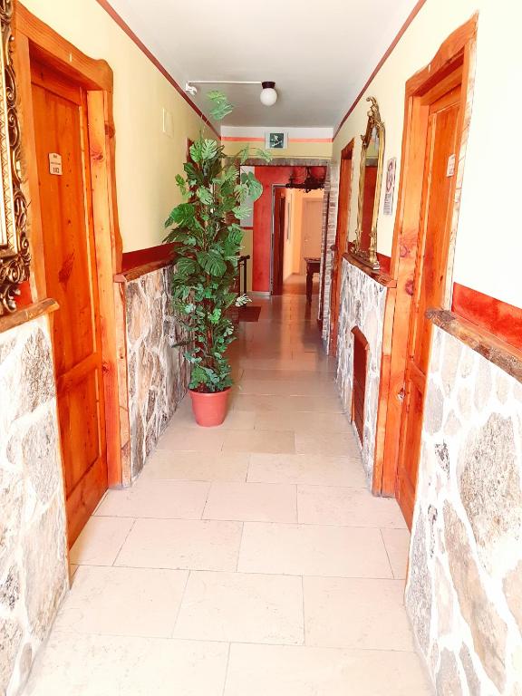 B&B Antica Trattoria photo