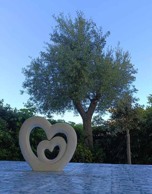 Cuorconero, Marcelli