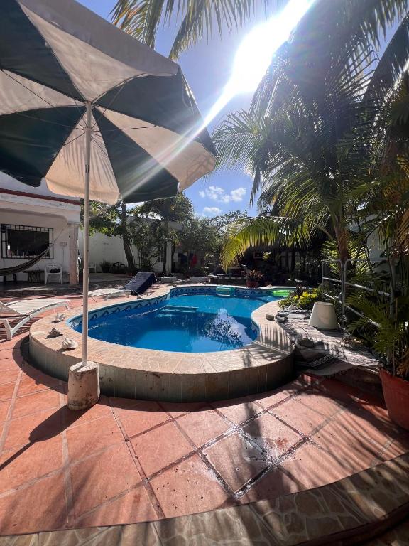 Casamaya Hostel & Diving - 1