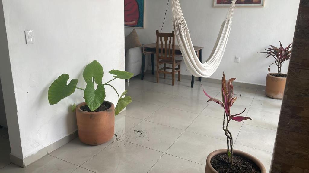 Casa Tinoco - 3