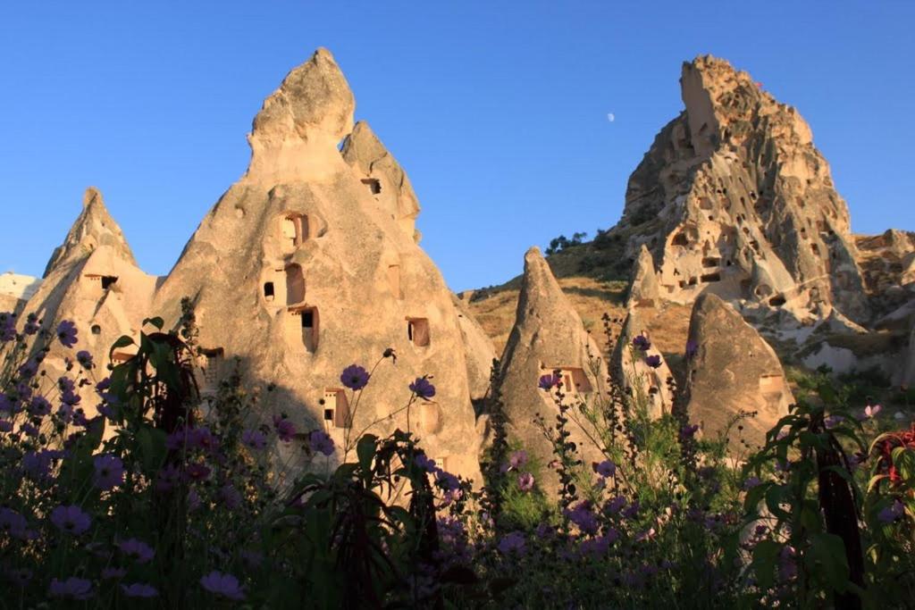 Elif Stone House photo