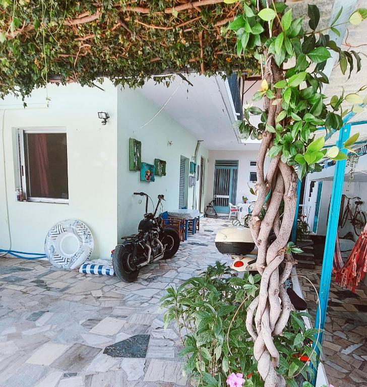 Kraken Apartment, Akrogiali