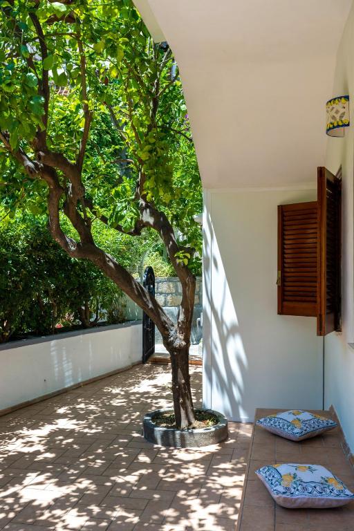 Positano Lemontree - 2