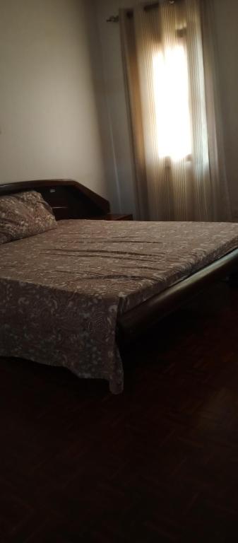 The Hein Sanctuary, Nkunjila