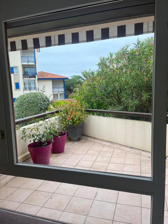 Appartement Port de Capbreton - 2