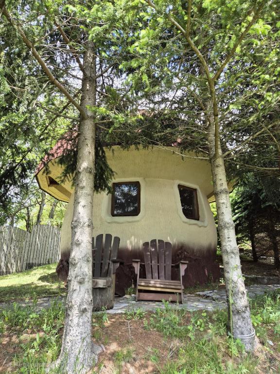 Art Apartments Minic - 2