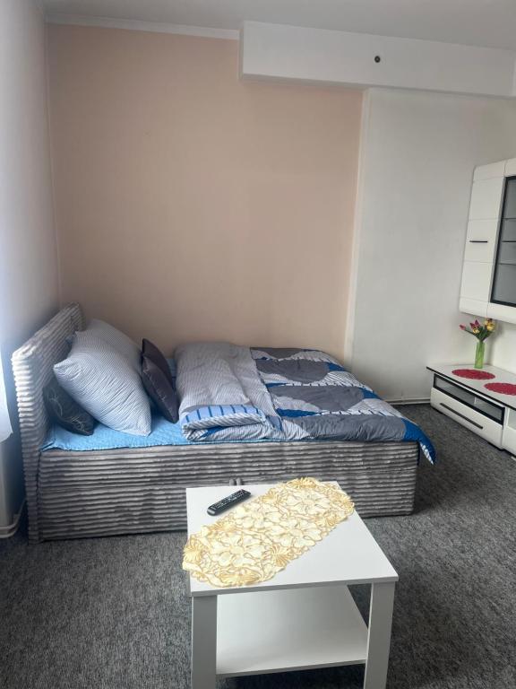 APARTAMENT W CENTRUM