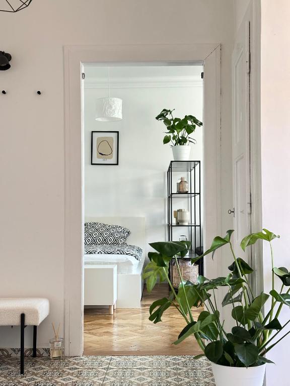 Central Point, Staré Mesto