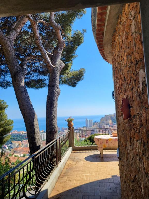 Appartement dans villa provençale avec terrain de boules vue imprenable sur monaco - 2