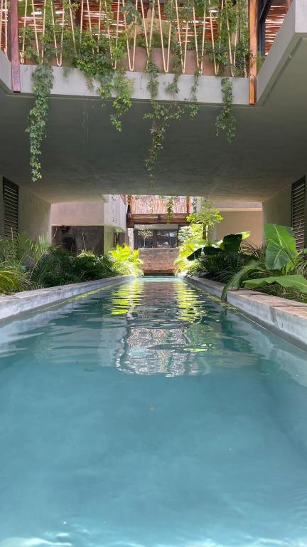 Jungle Luxury Romantic Beach Club private pool - 1