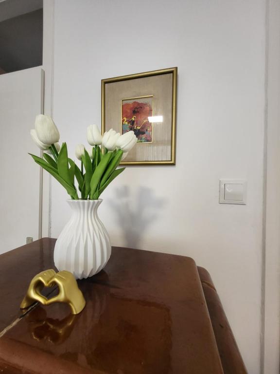 HaDi Home - 5