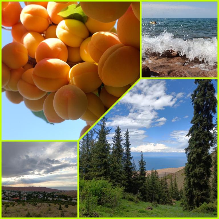 Guest house Vera, Kaji-Say