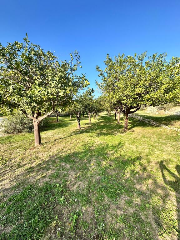 Tenuta Fico d'India - Casa Aliva - 4