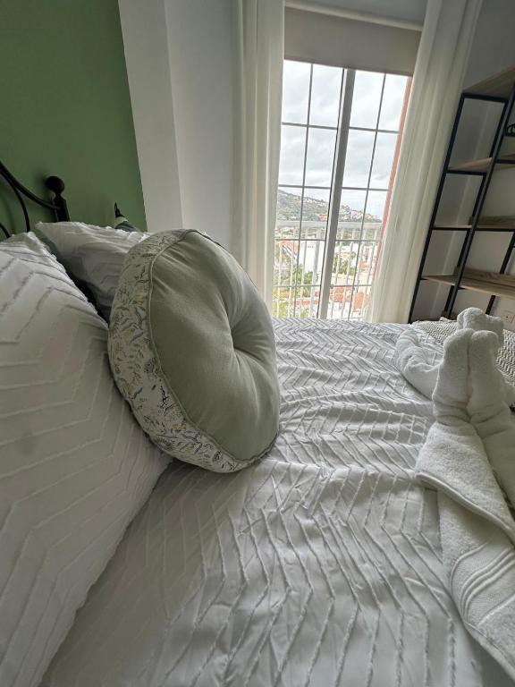 Violeta del Teide, Icod de los Vinos