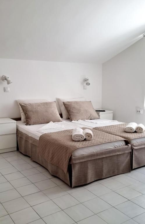 Apartmani Pavlović - 5