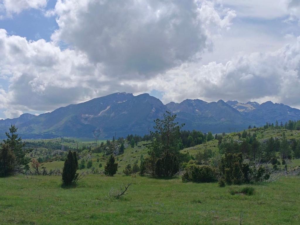 Brvnare Vujičic - 4