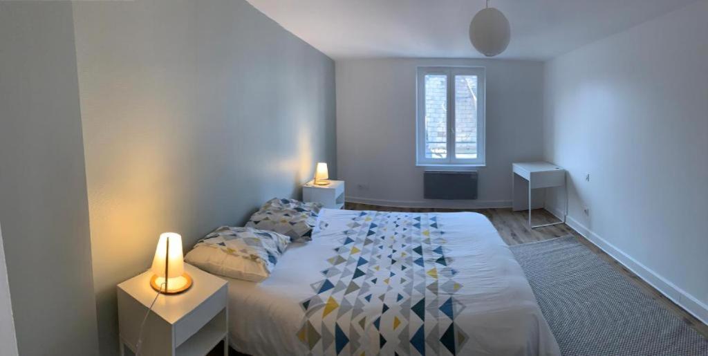 Appartement lumineux au centre ville - 4