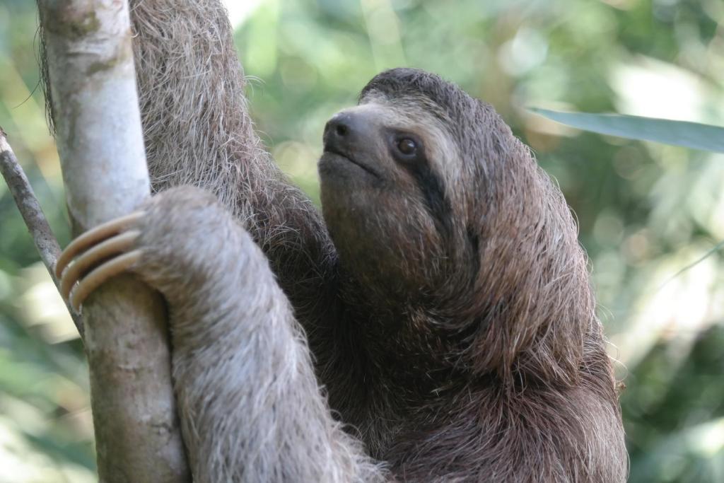 Surrounding environment