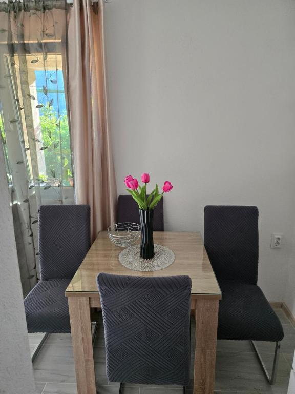 Apartman Jelena - 5