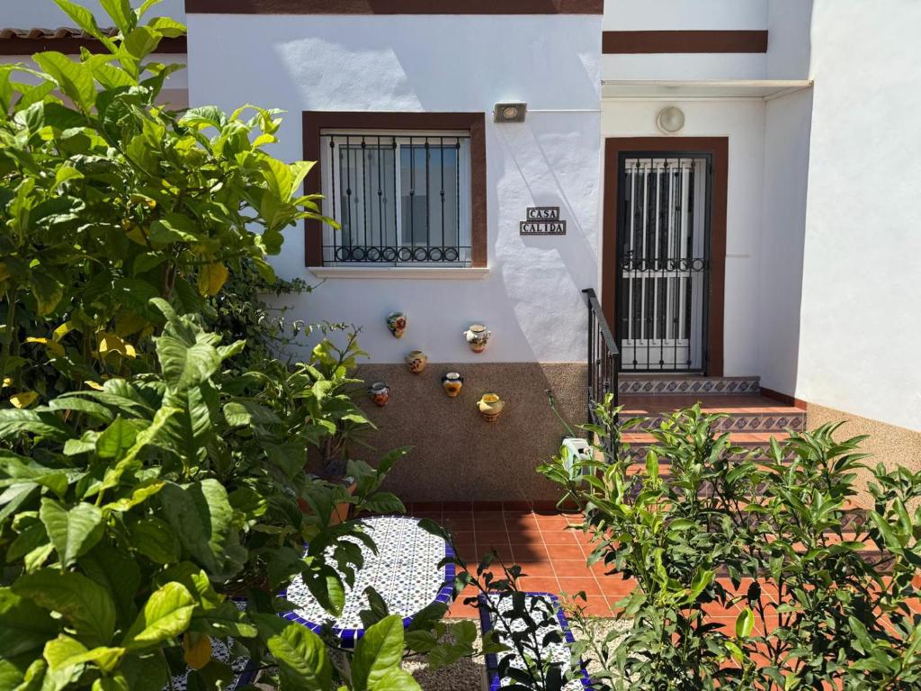 021 Casa Cálida - Orihuela Costa, Punta Prima