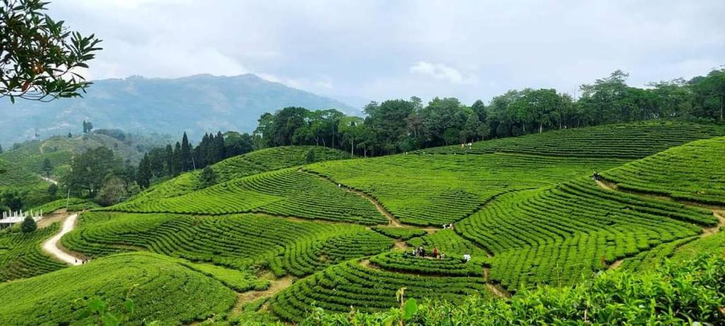 Nepal Village Homestay