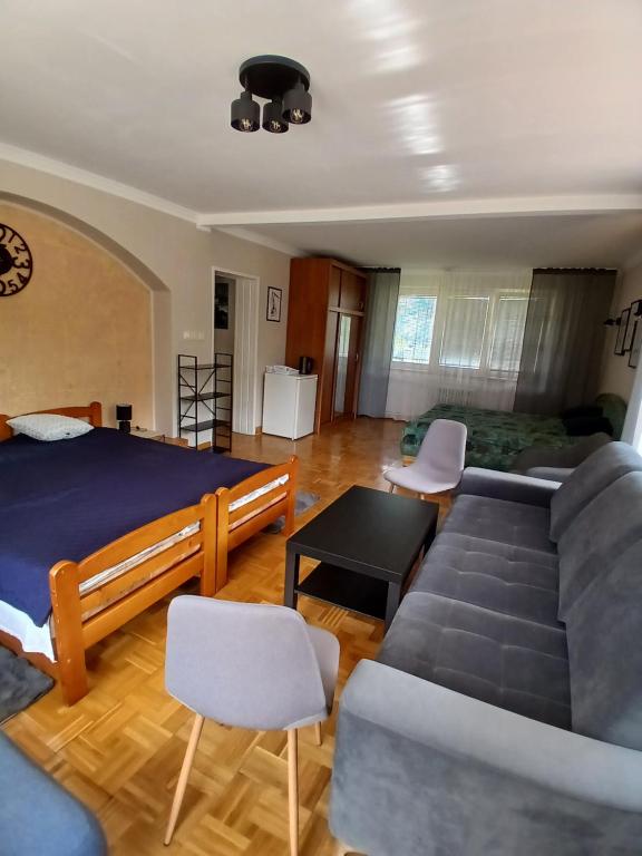 Albatros, Mikołajki