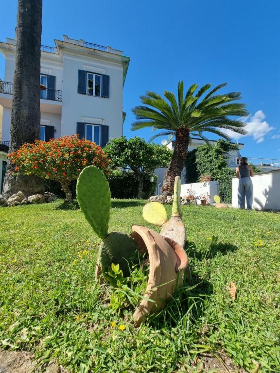 Casa Giulia Azzurra Sirena - 5