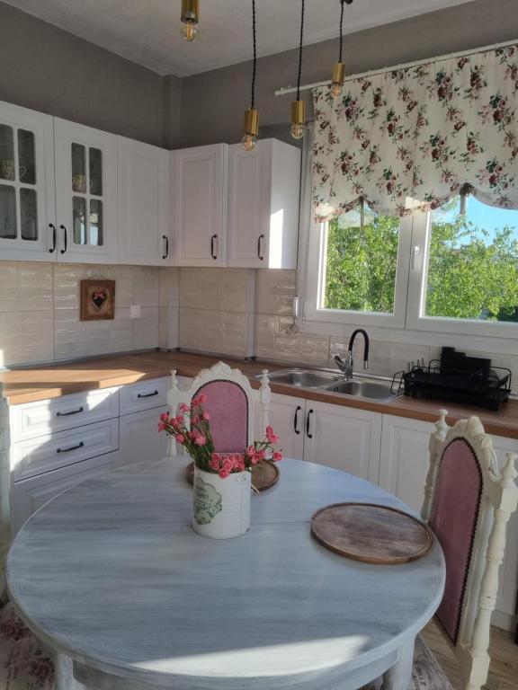 Art Apartment, Néa Michanióna