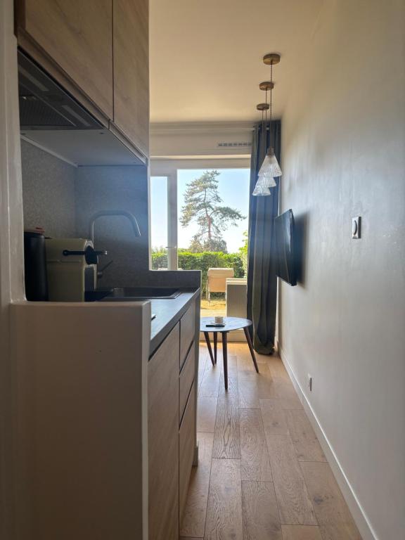 Studio Jardin avec Terrasse VUE MER - 4