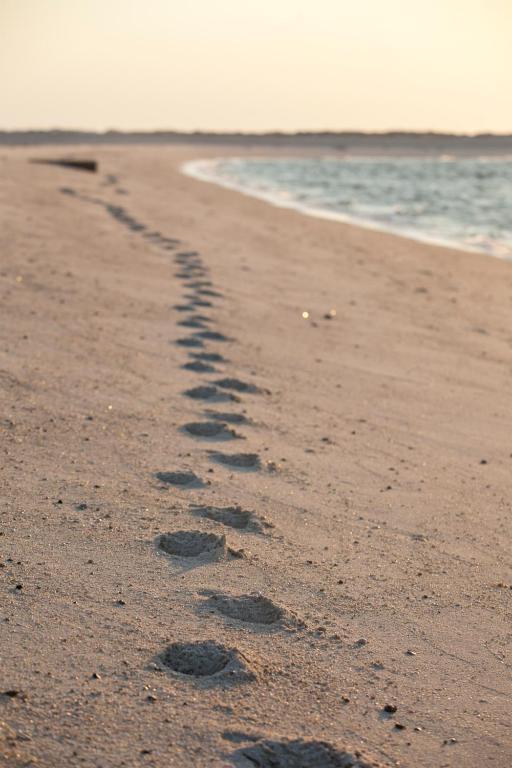 Sports and activities