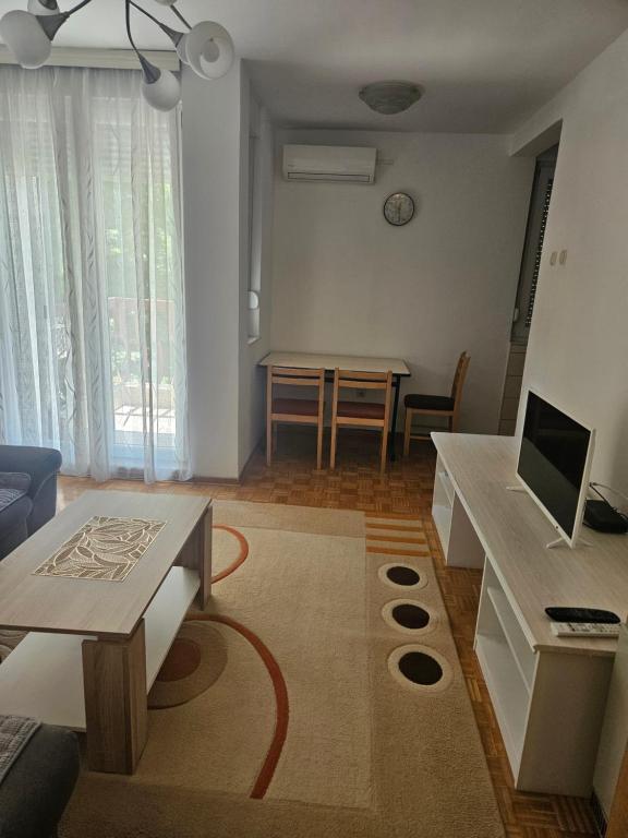 C2 Sunny Apartment - 5
