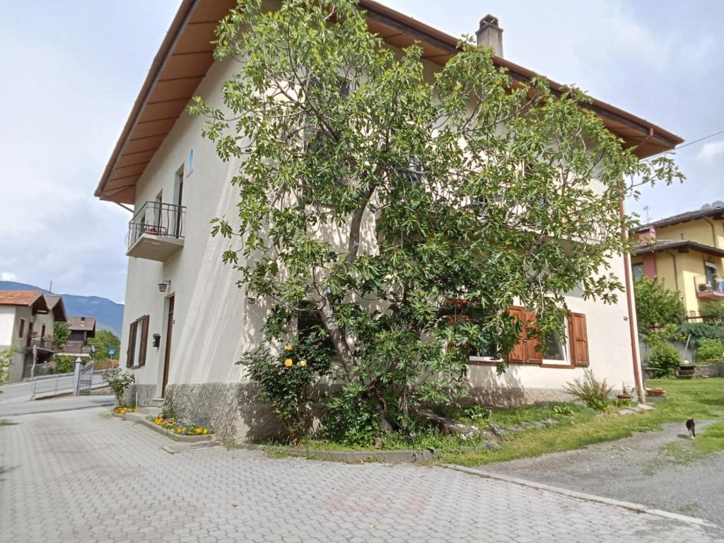 la maison des fleurs - 4