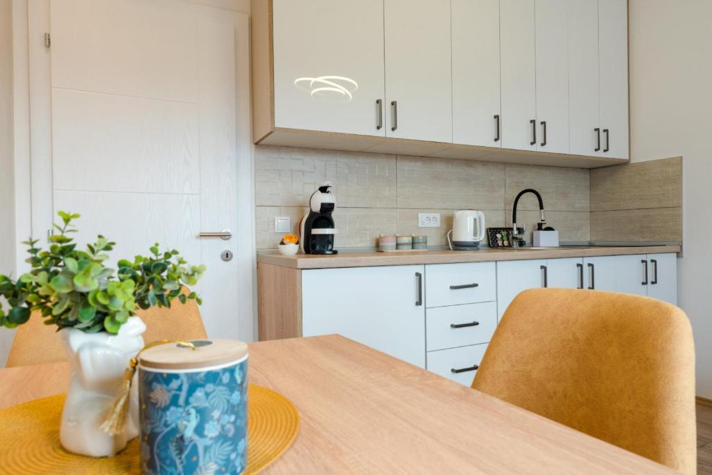 Apartman Stevanovic, Vrnjačka Banja