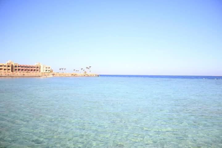 Oscar, Hurghada