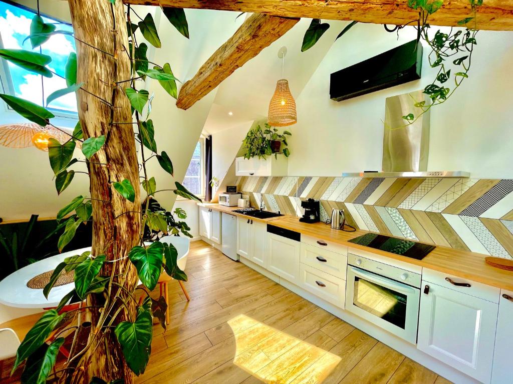 Nid douillet sous les toits avec jacuzzi - 4