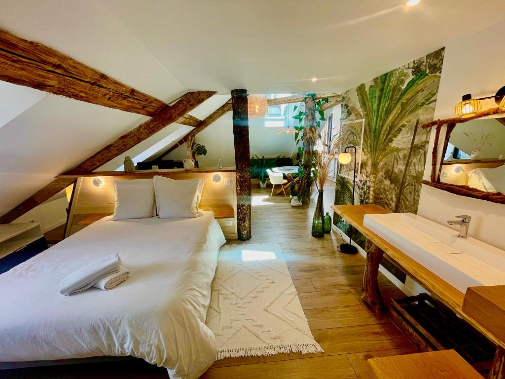 Nid douillet sous les toits avec jacuzzi - 3