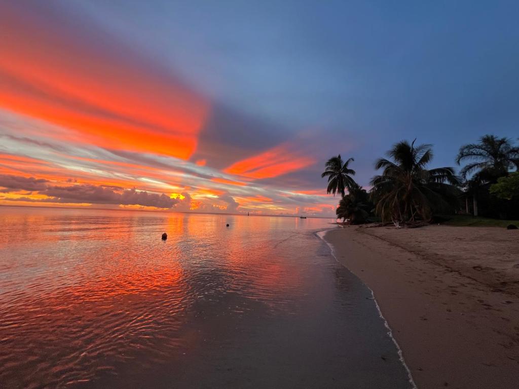 Bungalow Plage Bobby - Moorea Dolphin Lodge, Moorea