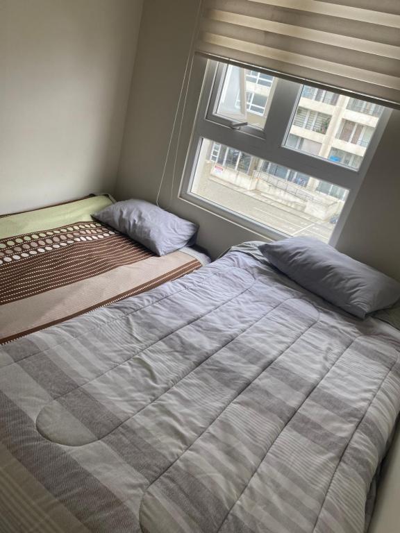 Apartamento - 3