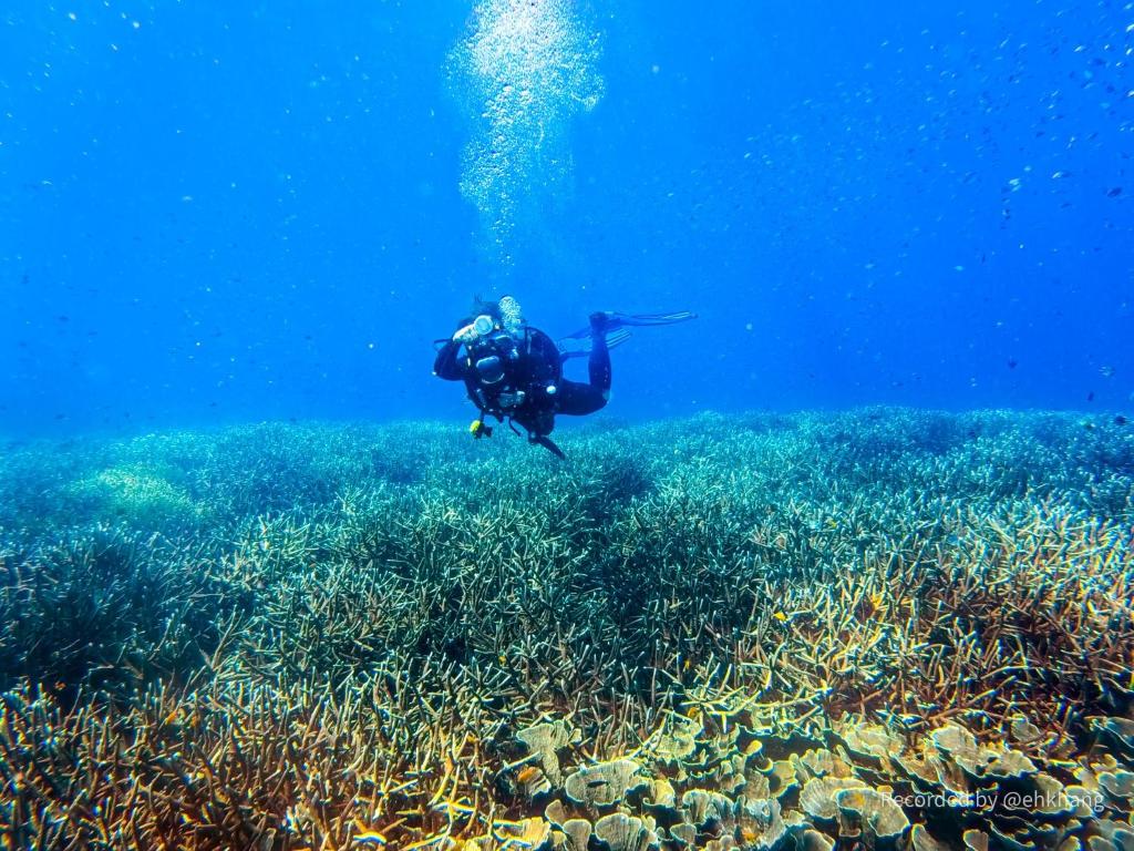 Sports and activities