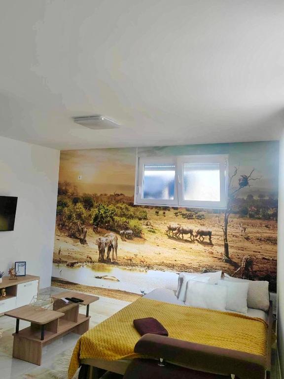 Safari 2 Apartment, Petrovaradin