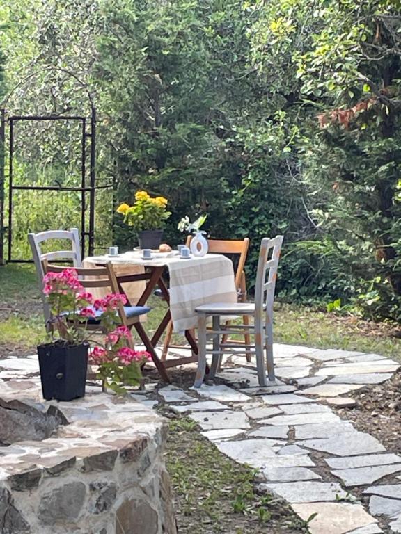 Ảnh 4