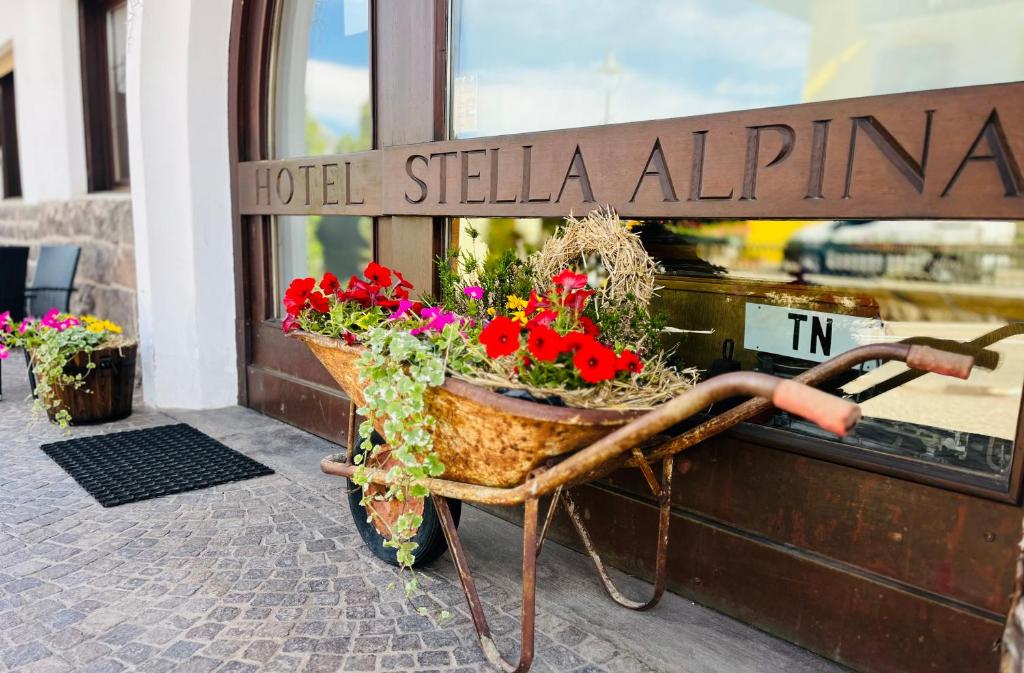 Hotel Stella Alpina - 3