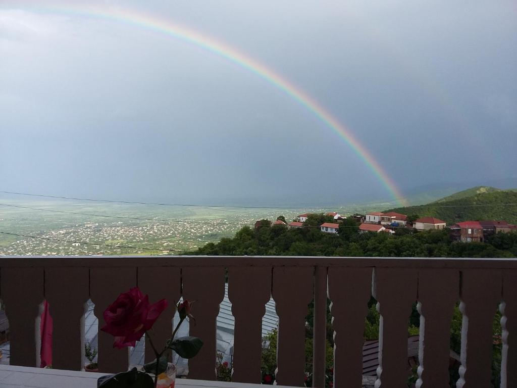 Guest House Maria — Hotel in Sighnaghi