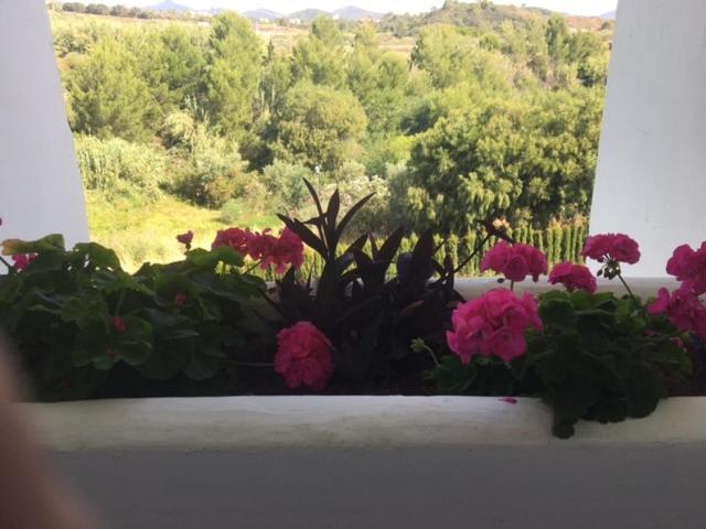 Penthouse in good location on Selwo Hills - 4