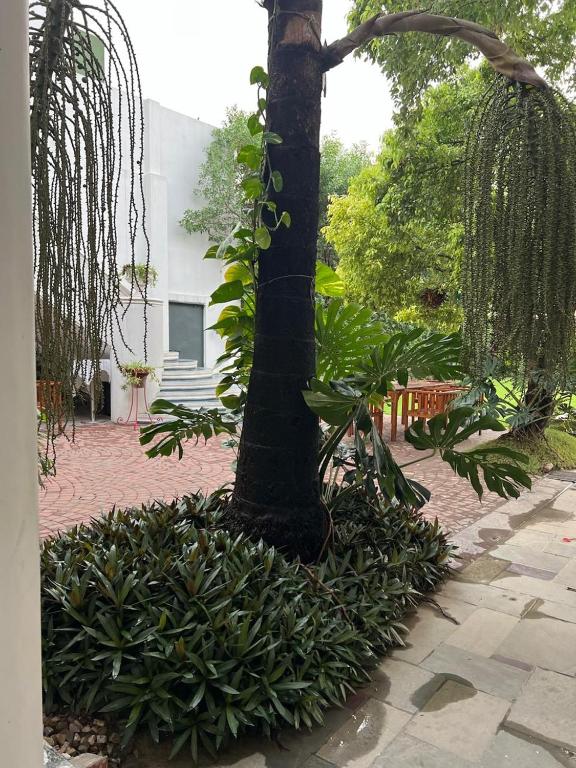 Surrounding environment