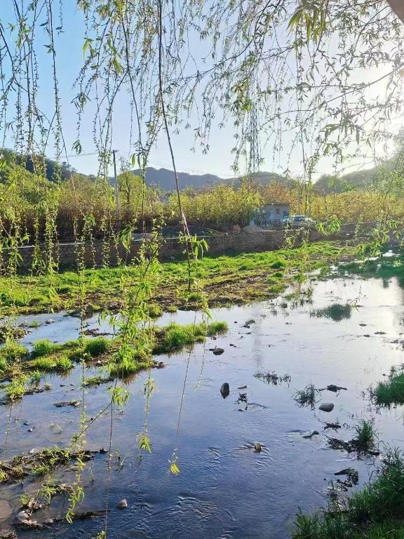 Recreational facilities