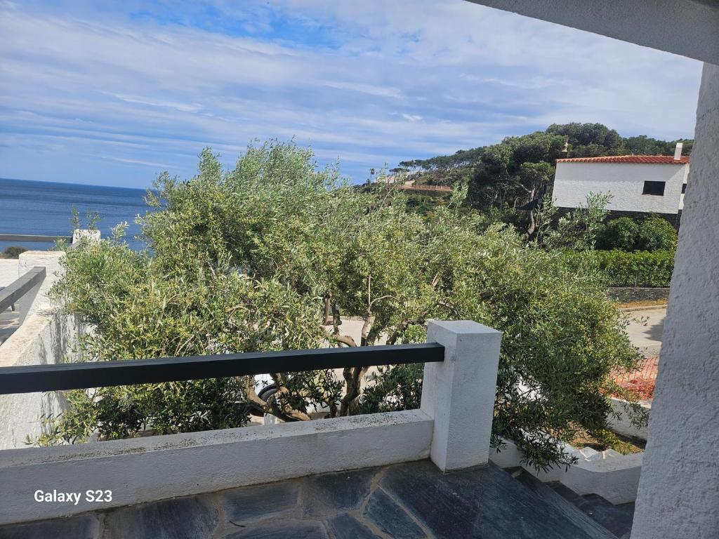 Acogedora casa en primera línea de mar Cadaqués - 3