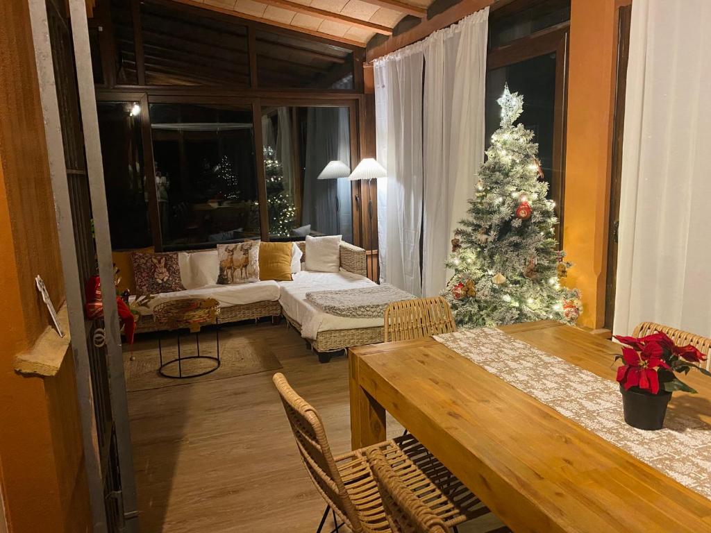 Chalet Novo sancti petri - 2